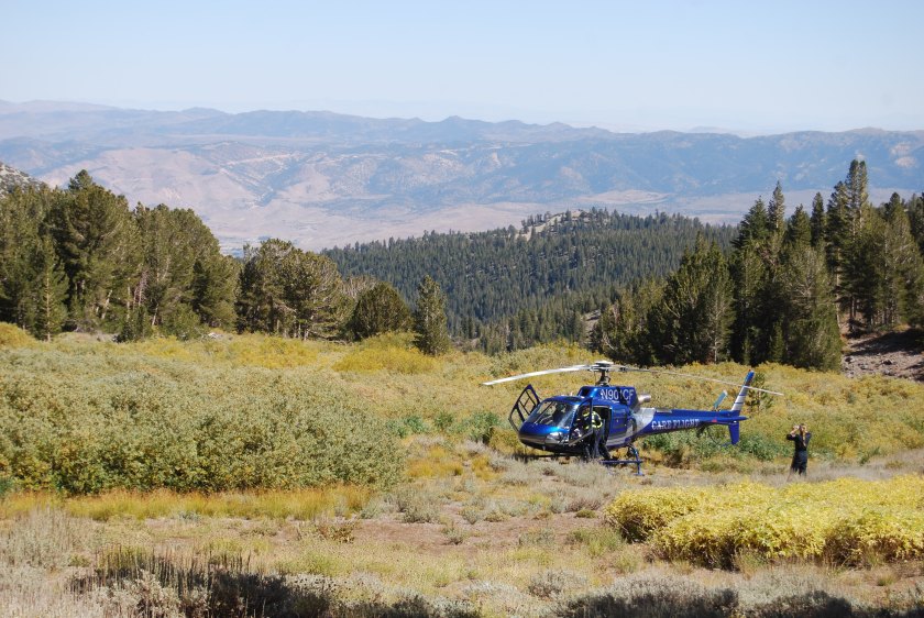life-care-helicopter-near-the-mount-rose-trail_3958858745_o