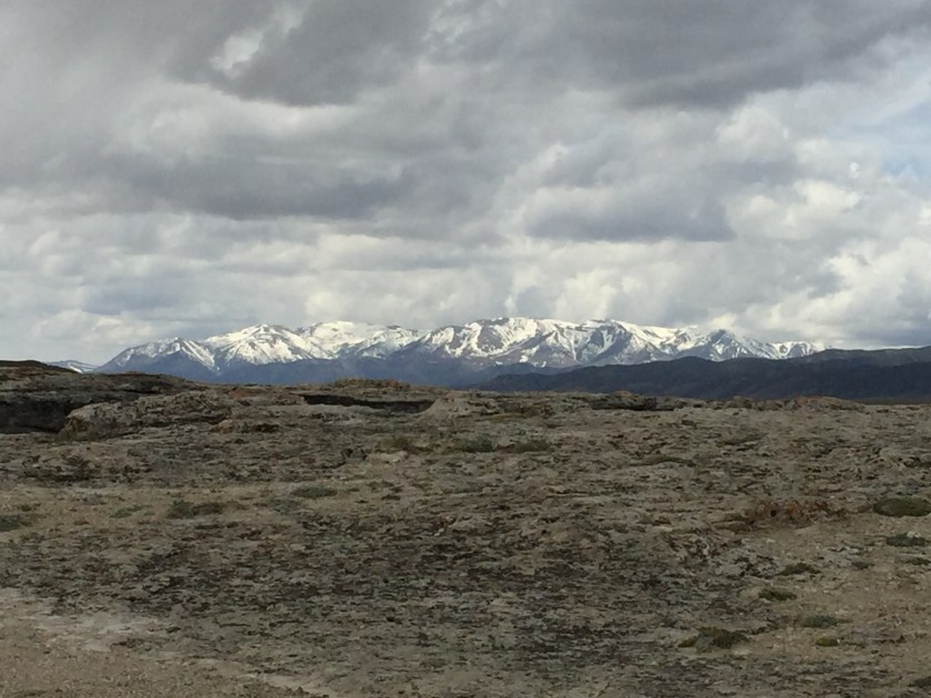 Photo May 15, 11 03 15 AM