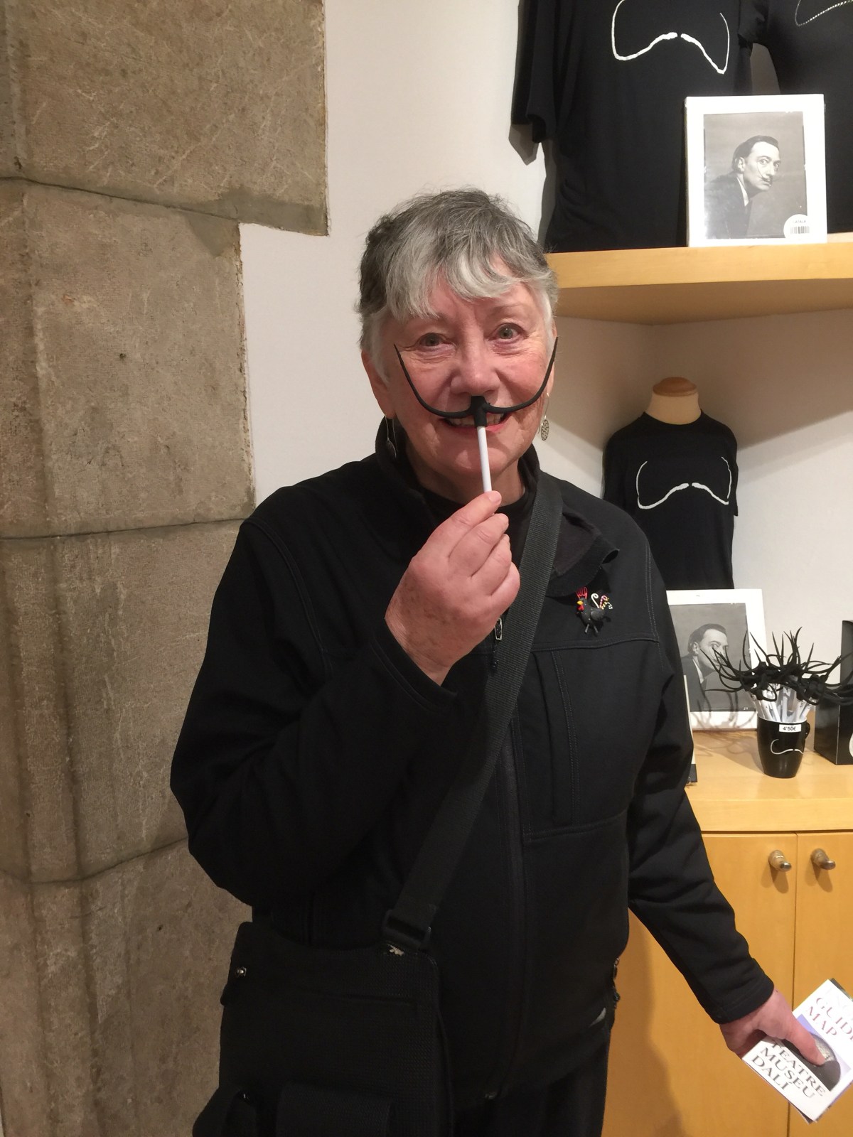 Roses to Parador de&nbsp;Vic-Sau