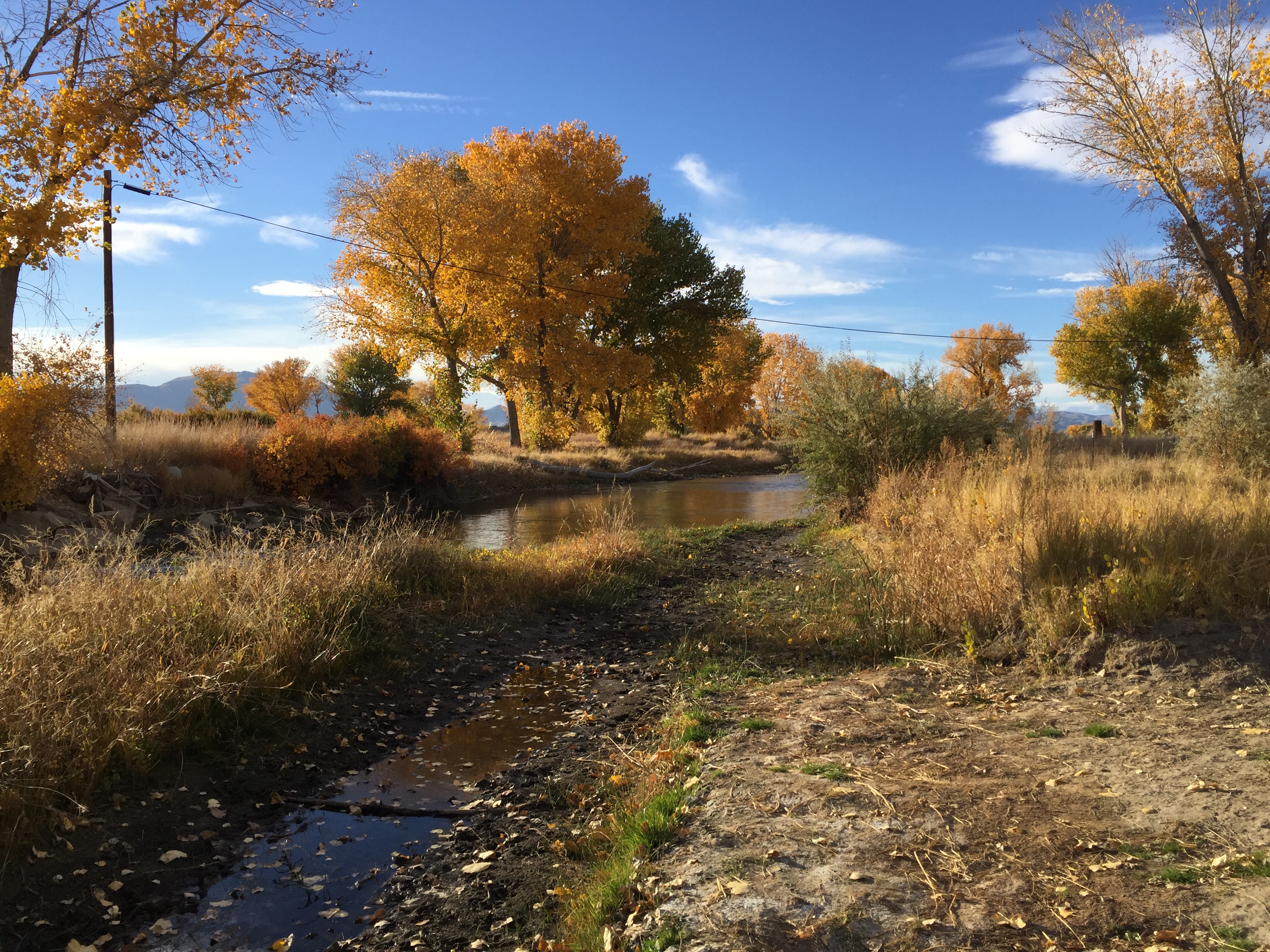 2018-10-28 16.41.51.jpg