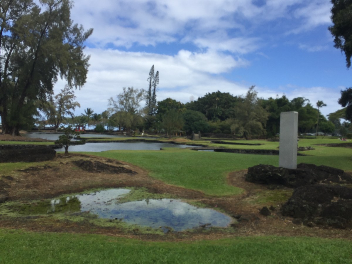 Volcano to  Honomu – 26 January,&nbsp;2019