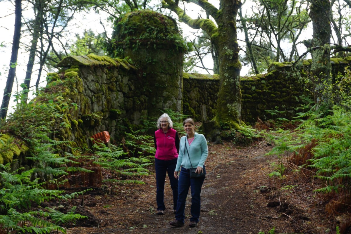 Parador de Santo Estevo to Monforte de&nbsp;Lemos